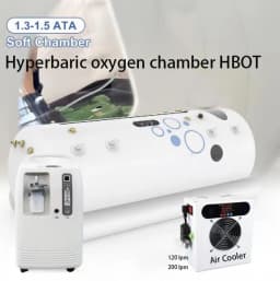 120lpm Mini Electronic Semiconductor Peltier air Dryer Refrigerant air Cooler for Hyperbaric Oxygen Chamber HBOT Ozone Generator