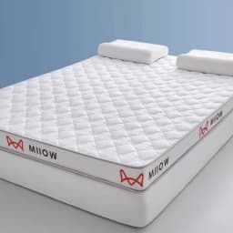 Thai Latex Filling Tatami Mat High Grade Thicken 4/7cm Sponge Mattress Twin King Queen Size Keep Warm Winter Bed Cover Cushion