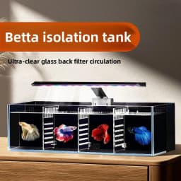Multi-format Modular Partition Aquarium System Self-cleaning Glass Fish Tank Built-in Filter Small Ecological Water Change