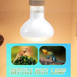 2 Pack Reptile Uvb Uva Heat Lamp Bulb For Truly Sun-Like Bright Heat For , Amphibian And Birds (100 W)