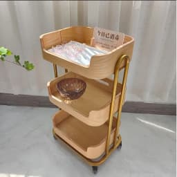 Light Luxury Beauty Salon Storage Rack Solid Wood Multi-layer Tool Cart Convenient Salon Trolley Practical Aesthetic Trolley