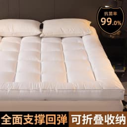 Home Mattresses Hotel Mattresses in Winter Thickened Warm Dormitory Students Single Bed Mattress Plate