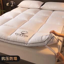 Home Mattresses Hotel Mattresses in Winter Thickened Warm Dormitory Students Single Bed Mattress Plate