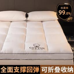 Home Mattresses Hotel Mattresses in Winter Thickened Warm Dormitory Students Single Bed Mattress Plate
