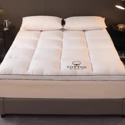 Home Mattresses Hotel Mattresses in Winter Thickened Warm Dormitory Students Single Bed Mattress Plate