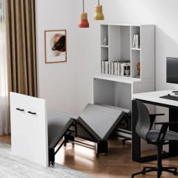 Nordic Bed Cabinet, Folding Roll Away Beds with Mattresses for Adult, Pull Out Chest Daybed, Guest