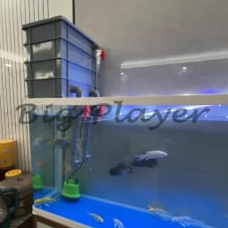 Fish tank filter drip box, fish pool water circulation turnover box, filter box, filtration device, wall mounted oxygenation