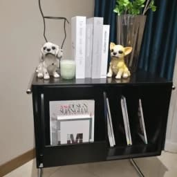 Nordic High-end Light Luxury Solid Wood Bookcase Living Room Sofa Side Simple Home Retro Storage Cabinet