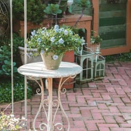 Outdoor Metal Iron Round Side Table Vintage White Finish Rustic Garden Table Decorative Balcony Accent Patio Flower Rack