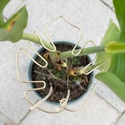 Monstera Shaped Plant Support Pole Sturdy Alloy Support Pile Easy Installation Decorative Plant Stand For Small Medium Plant