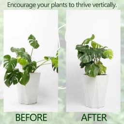 Monstera Shaped Plant Support Pole Sturdy Alloy Support Pile Easy Installation Decorative Plant Stand For Small Medium Plant