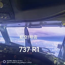 Boeing B737/B767/Airbus A320 sunshade,  anti radiation, transparent