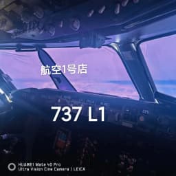 Boeing B737/B767/Airbus A320 sunshade,  anti radiation, transparent