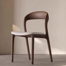Solid Wood, Dining Chair, Home, Study, Backrest, Modern, Minimalist, Designer, Stool, Nordic, Restaurant, Eating, Chair