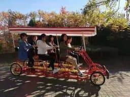 2pcs/lot 4 Wheels 6 Seater Tourist Sightseeing Pedal Surrey Bike Road Tandem Bicycles For Park