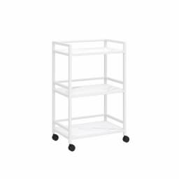 Luxury Salon Trolley Professional Barber Chariot Spa Equipment Chairs Organizers Tool Cart Mueble Con Ruedas Salon Furniture