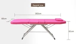 Portable Foldable Massage Bed, Handheld Beauty Physiotherapy Table for Acupuncture Moxibustion Home Use