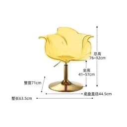 Stylish Transparent Modern Furniture Acrylic Bar Stools, and Balcony Seats, Simple and Luxurious Transparent Petal Dining Chairs