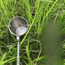 500ML 304 Thicke Stainless Steel/Plastic Telescopic Rod Water Sampler Water Quality Sampler Near Shore Far Water Sampling Barrel