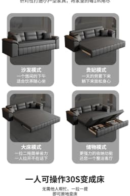 A Sofa Bed Folding Dual-Purpose Storage Household Double Small Apartment Living Room Internet Celebrity Cat Scratching Skin