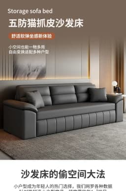 A Sofa Bed Folding Dual-Purpose Storage Household Double Small Apartment Living Room Internet Celebrity Cat Scratching Skin