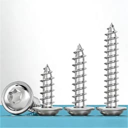 304 Stainless Steel M2 M2.6 M3 M4 M5 M6 M8 Pan Round Head Plus-Blossom Six-Lobe Torx with Washer Cushion Self-Tapping Wood Screw