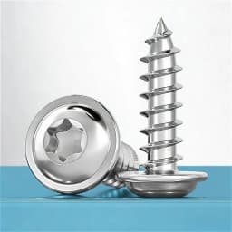 304 Stainless Steel M2 M2.6 M3 M4 M5 M6 M8 Pan Round Head Plus-Blossom Six-Lobe Torx with Washer Cushion Self-Tapping Wood Screw