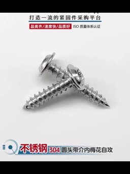 304 Stainless Steel M2 M2.6 M3 M4 M5 M6 M8 Pan Round Head Plus-Blossom Six-Lobe Torx with Washer Cushion Self-Tapping Wood Screw