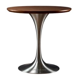 Tulip Round Table for Home Dining, Stainless Steel Commercial Coffee Table for Cafe Restaurant, Balcony Accent Desk for Bistro