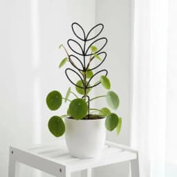 1PC Honeycomb Design Plant Trellis, Rustproof Plastic Support For Potted Vines And Flowers, Indoor Outdoor Garden Climbing Frame