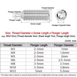 304 Stainless Steel Spring Plungers with Round-Ended Pin and Hex Socket Screw with Spring Pin M3 M4 M5 M6 M8 M10 M12