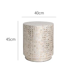 Nordic Furniture,Creative Shell Tea Table,Living Room Side Table,Cylindrical Display Stand,Luxury Display Stand,Art Storage Desk