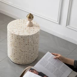Nordic Furniture,Creative Shell Tea Table,Living Room Side Table,Cylindrical Display Stand,Luxury Display Stand,Art Storage Desk