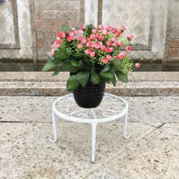 Floor-standing Storage Rack Multi-layer Iron Art Flower Stand Indoor Outdoor Universal Living Room Balcony Succulent Green Radis