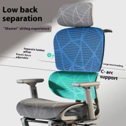 Adjustable Armrests Armchair 3D Ergonomic Chair Office Chair Computer Headrest Advanced Leg Rest Anime Gamer Bedroom