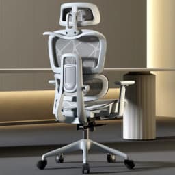 Adjustable Armrests Armchair 3D Ergonomic Chair Office Chair Computer Headrest Advanced Leg Rest Anime Gamer Bedroom