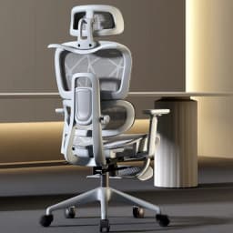 Adjustable Armrests Armchair 3D Ergonomic Chair Office Chair Computer Headrest Advanced Leg Rest Anime Gamer Bedroom