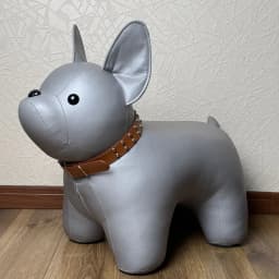Dog Shoe Bench Home Entrance and Living Room Animal Themed Seat Cute Animated Children Stool Portable Stool Chair