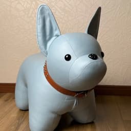 Dog Shoe Bench Home Entrance and Living Room Animal Themed Seat Cute Animated Children Stool Portable Stool Chair