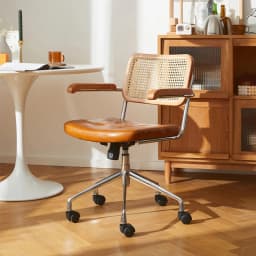 Computer Chair Adjustable Lift Rotating Solid Wood Chair Office Learning Furniture
