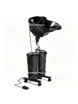 Vertical Electric Shampoo Basin Portable Double Bucket with Water Pump Movable Sink