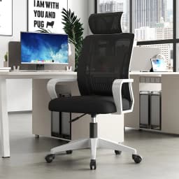 Home Office Ergonomic SeatBackrest: Liftable, Swivel, Waist Rest, Headrest, Gaming Chair