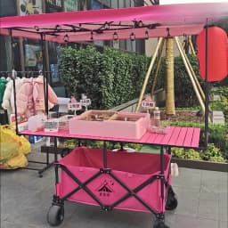 Large Table Stall Lift Foldable Rainproof Awning Trolley