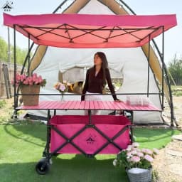 Large Table Stall Lift Foldable Rainproof Awning Trolley