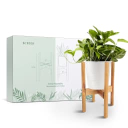Adjustable Wooden Plant Stand、Bonsai Stand、Home Decor Flower Pot Stand for Living Rooms、Balconies and Gardens With Non-Slip Pad