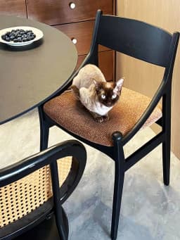Mid-Century Upholstered Solid Wood Dining Chair for Small Apartment, Creative Single Backrest Seat for Restaurant.