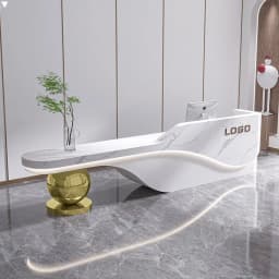 Minimalist Modern Reception Desks Beauty Luxury Salon Unique Wood Reception Desks Organizers Simple Escritorio Office Furniture