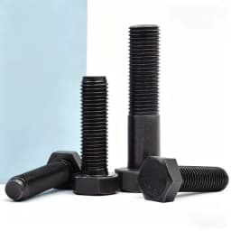 Grade 10.9 Steel Fine Thread M8 M10 M12 Black Full/Half Thread External Hexagon Outside Hex Head Cap Screws Bolts