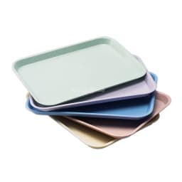 Dental Instrument Flat Tray Plastic Autoclaved Dentistry Tools Dentist Use Mini Size 240*165*22