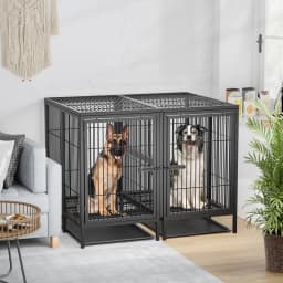 Heavy Duty Dog Crate: 52Inch Extra Large Pet Raised Metal Cage with Removable Divider - Doggy Kennel Training Playpen House